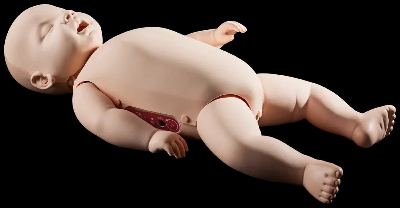 Fantom niemowlęcia Brayden Baby Advanced