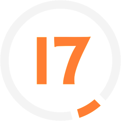 the17bag