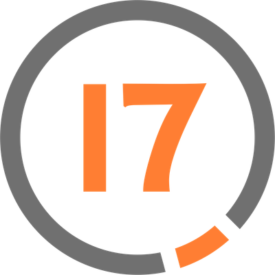 the17bag
